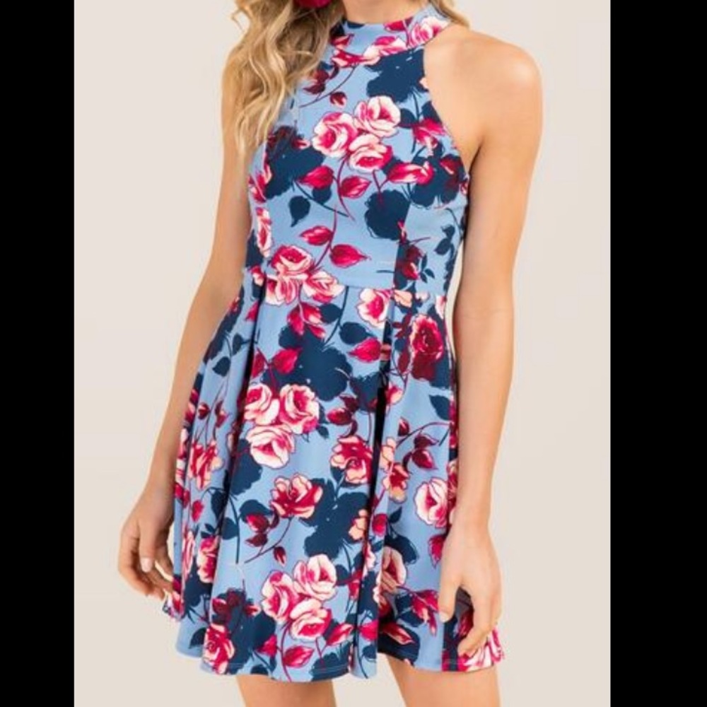 Francesca’s Miami Blue Floral Halter Dress Size M